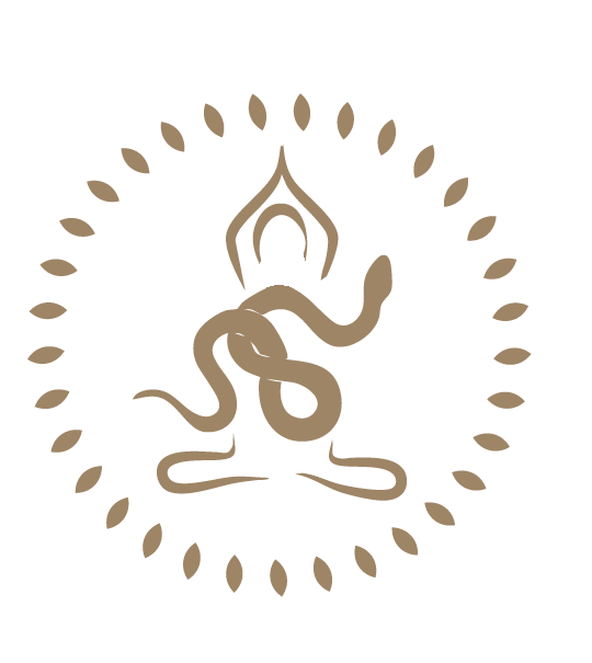 png-color-replaced-1768511763899